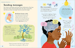 Wonderfully Wired Brains